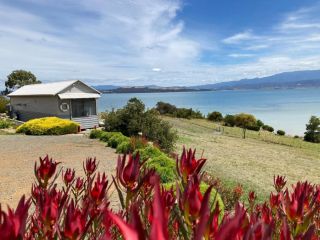 The Boat Shed Guest house, Tasmania - 4