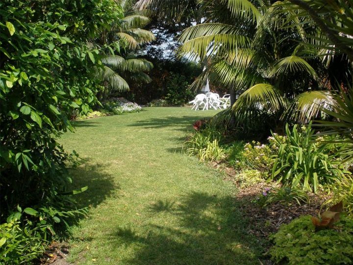 The Broken Banyan Apartment, Lord Howe Island - imaginea 5