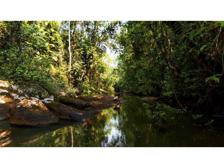 The Canopy Rainforest Treehouses & Wildlife Sanctuary Hotel, Queensland - imaginea 16