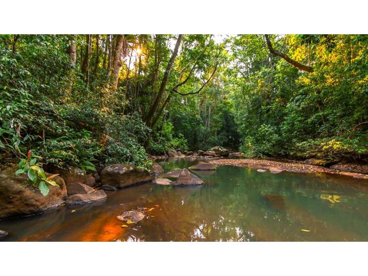 The Canopy Rainforest Treehouses & Wildlife Sanctuary Hotel, Queensland - imaginea 12