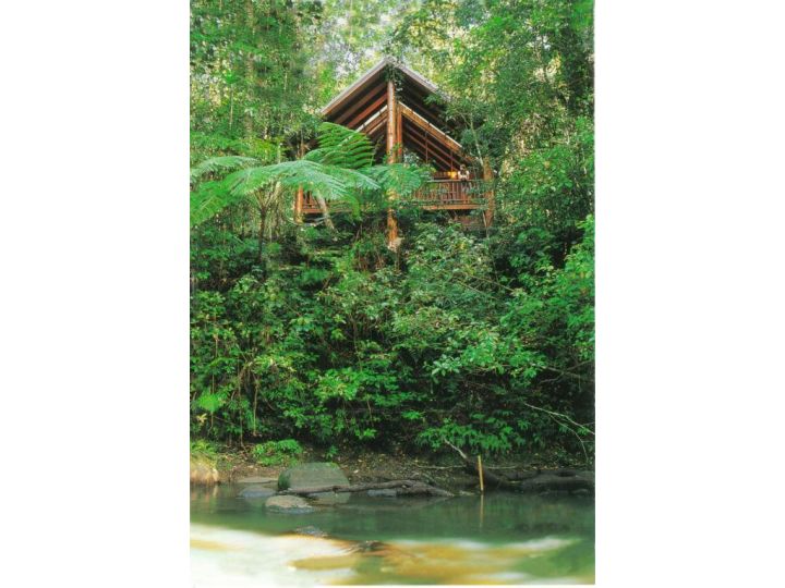 The Canopy Rainforest Treehouses & Wildlife Sanctuary Hotel, Queensland - imaginea 19