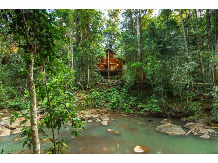 The Canopy Rainforest Treehouses & Wildlife Sanctuary Hotel, Queensland - imaginea 10
