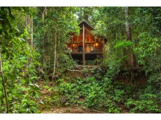 The Canopy Rainforest Treehouses & Wildlife Sanctuary Hotel, Queensland - 2