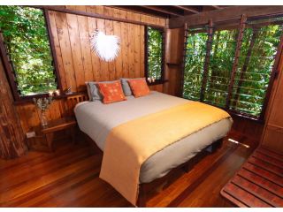The Canopy Rainforest Treehouses & Wildlife Sanctuary Hotel, Queensland - 3