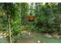 The Canopy Rainforest Treehouses & Wildlife Sanctuary Hotel, Queensland - thumb 10