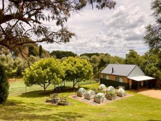 Elevation652 at Mt Bellevue in King Valley Guest house, Victoria - 1