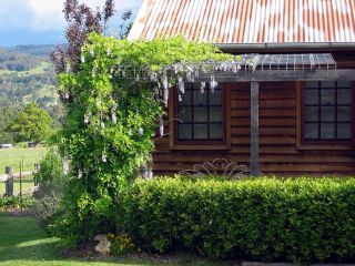 The Dairy - Kangaroo Valley Guest house, Barrengarry - 4