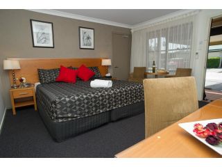 The Grapevine Motel Hotel, New South Wales - 5