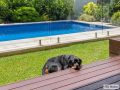 The Doggy Beach House at Pottsville Guest house, Pottsville - thumb 1