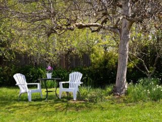 The Garden Room Guest house, Daylesford - 3