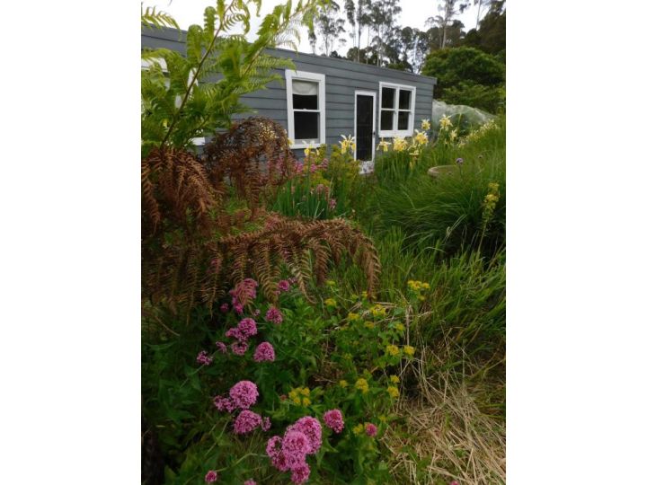 The Gardener&#x27;s Cottage on Warrentinna Apartment, Tasmania - imaginea 3