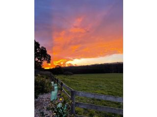 THE GELLI HOUSE-A RESTORED OLD FARM HOUSE Guest house, Victoria - 3