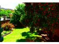 The Golf Getaway Guest house, Myrtleford - thumb 5