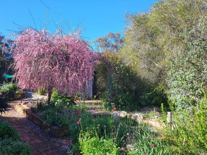 The Greenery Guest house, Castlemaine - imaginea 1