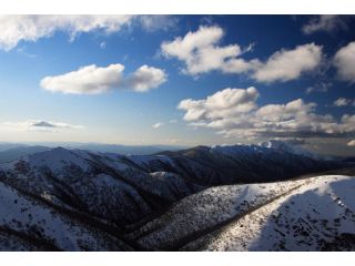 The Harrietville Snowline Hotel Hotel, Victoria - 5