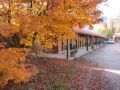 The Harrietville Snowline Hotel Hotel, Victoria - thumb 16