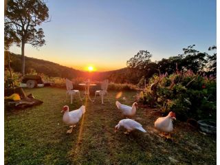 The House of the Rising Sun Guest house, Queensland - 5