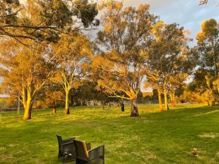 The Old Hamilton Shop Two Bed apartment Situated between Clare & Barossa Valley Apartment, South Australia - 5