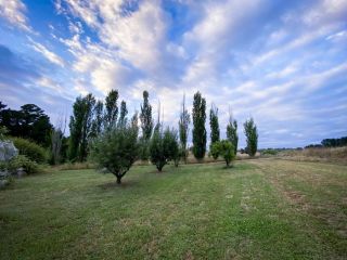 The Pine Tree Cottage - Charming cottage close to Canberra Guest house, New South Wales - 1