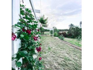 The Pine Tree Cottage - Charming cottage close to Canberra Guest house, New South Wales - 3
