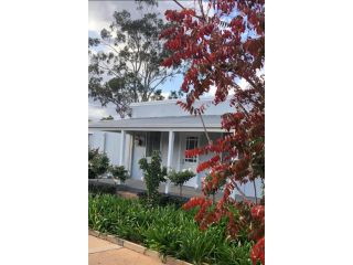 The Rested Guest 3 Bedroom Cottage West Wyalong Guest house, West Wyalong - 3