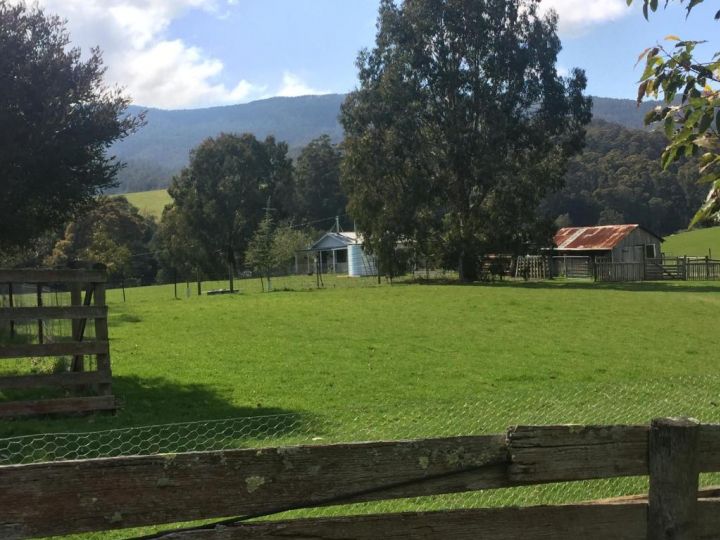 The Retreat Villa, Tasmania - imaginea 10