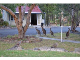 31 The Rocks Bed and breakfast, Stanthorpe - 4