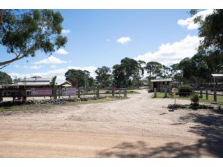 The Saddle Camp Tiny House, Braidwood Guest house, Braidwood - 5