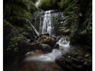 The Source, Otways Hotel, Victoria - 2