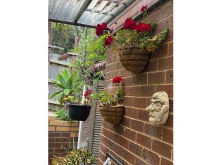 The Studio Bed and breakfast, Australia - 5