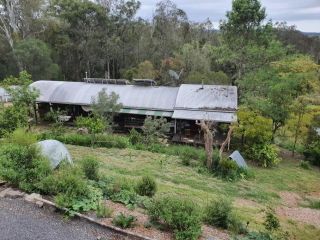 The Tree House and train Guest house, Queensland - 5