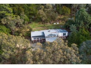 The Tree House Guest house, Eildon - 2