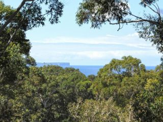 The Treehouse Jervis Bay Rentals Guest house, Vincentia - 1