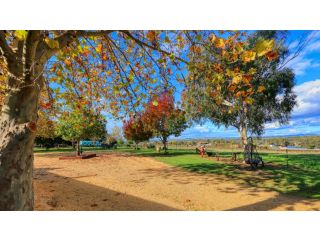 The Vineyard Motel Hotel, Cowra - 4