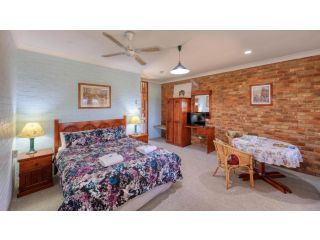 The Vineyard Motel Hotel, Cowra - 2