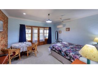 The Vineyard Motel Hotel, Cowra - 5