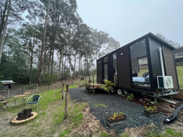 Tiny House At The Bay Guest house, New South Wales - imaginea 1
