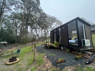 Tiny House At The Bay Guest house, New South Wales - 1