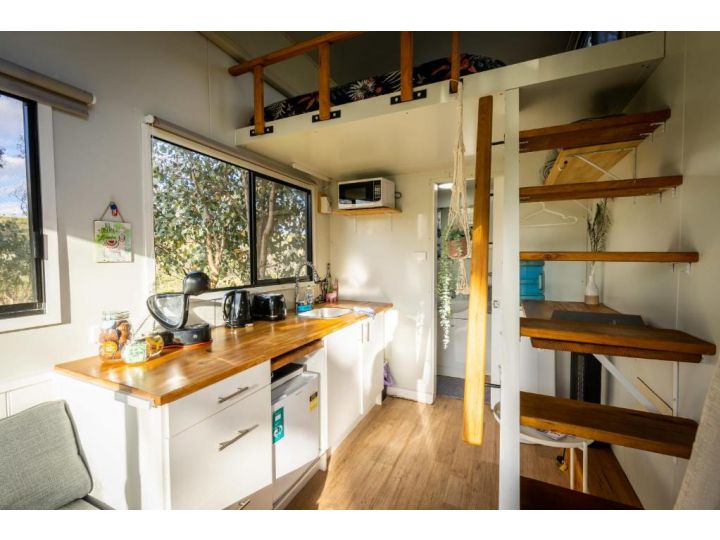 Tiny House Farmstay at Dreams Alpaca Farm - A Windeyer Outback Experience Guest house, New South Wales - imaginea 3
