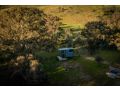 Tiny House Farmstay at Dreams Alpaca Farm - A Windeyer Outback Experience Guest house, New South Wales - thumb 4
