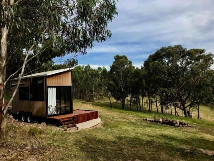 Tiny Nanook - Kanimbla Valley Guest house, New South Wales - imaginea 13