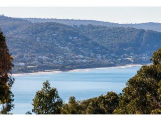 Top Deck Apartment, Lorne - 1