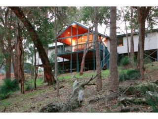 Treehouse - 3 acre elevated nature setting Guest house, Quindalup - 4