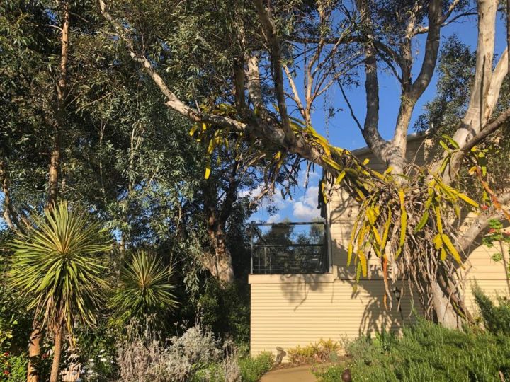 Treetops Cottage Apartment, Perth - imaginea 4