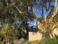 Treetops Cottage Apartment, Perth - thumb 4