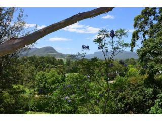 Treetops - Newly renovated, in the village! Guest house, Kangaroo Valley - 5