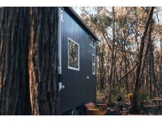 Treetops Tiny Guest house, Victoria - 4