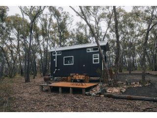 Treetops Tiny Guest house, Victoria - 1