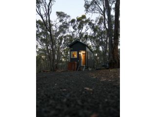 Treetops Tiny Guest house, Victoria - 3