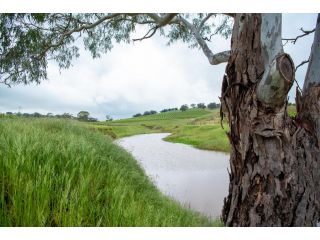 Triple Creek Guest House - Barossa Region Guest house, South Australia - 3